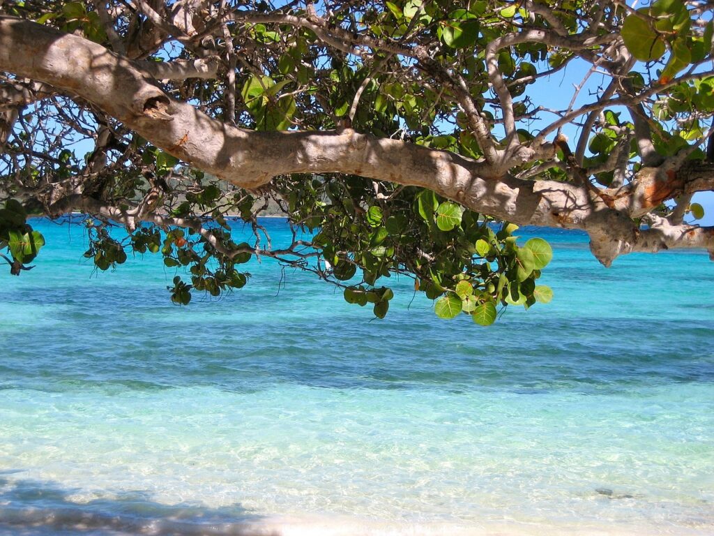 Clear waters at Bathsheba Beach in Barbados, ideal for surfing and scenic views.