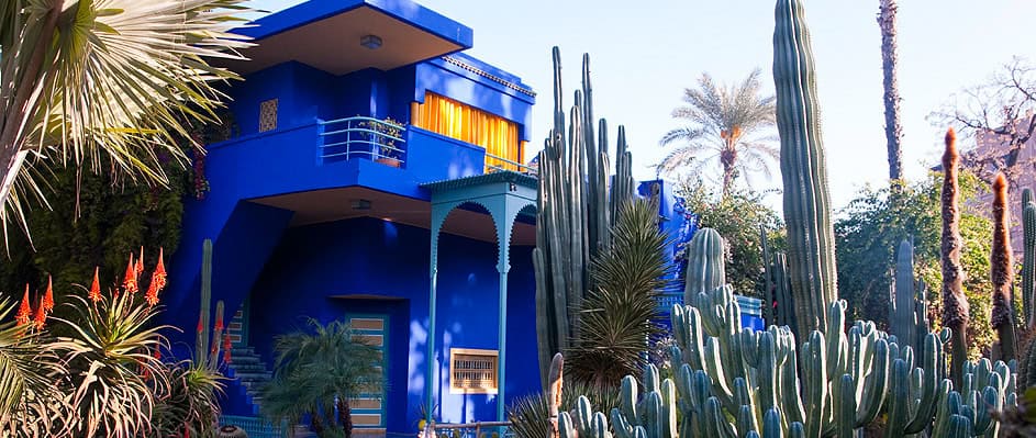 The iconic cobalt blue villa surrounded by lush cacti and palm trees at Jardin Majorelle in Marrakech.
