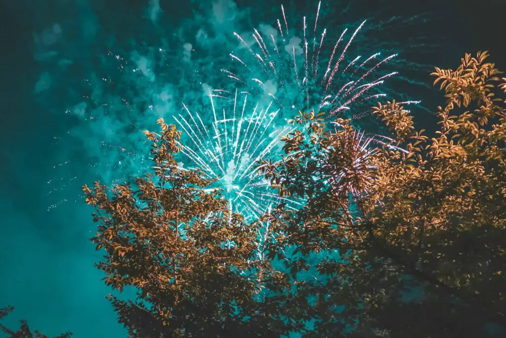 Bright fireworks lighting up the sky, seen through the silhouette of leafy trees, with the night sky glowing in shades of teal and gold.