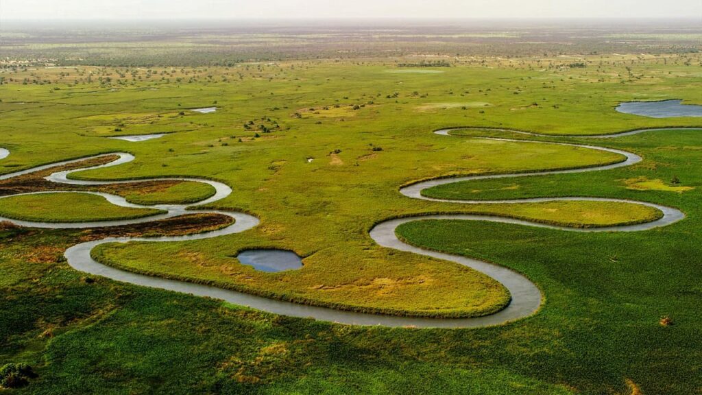 A stunning aerial view of the winding waterways and vibrant greenery of the Okavango Delta, highlighting one of Africa’s most unique and breathtaking landscapes.