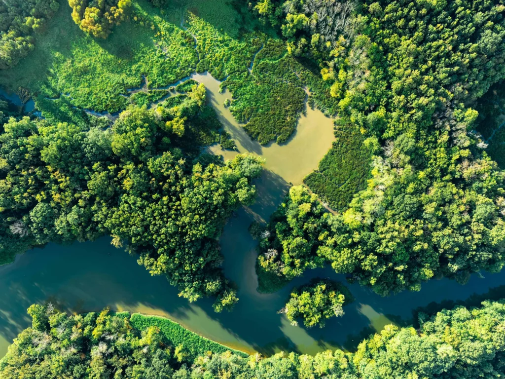 A breathtaking aerial view of lush green forests and rivers intertwining through Chattanooga's natural landscape.