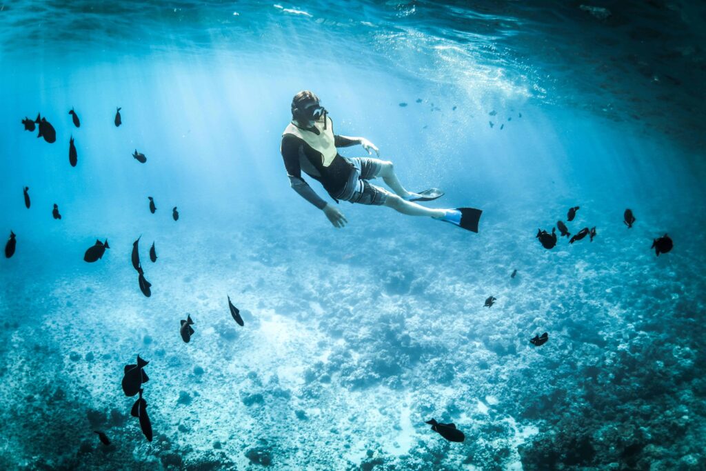 A snorkeler floating in clear blue waters, surrounded by schools of fish in an underwater paradise