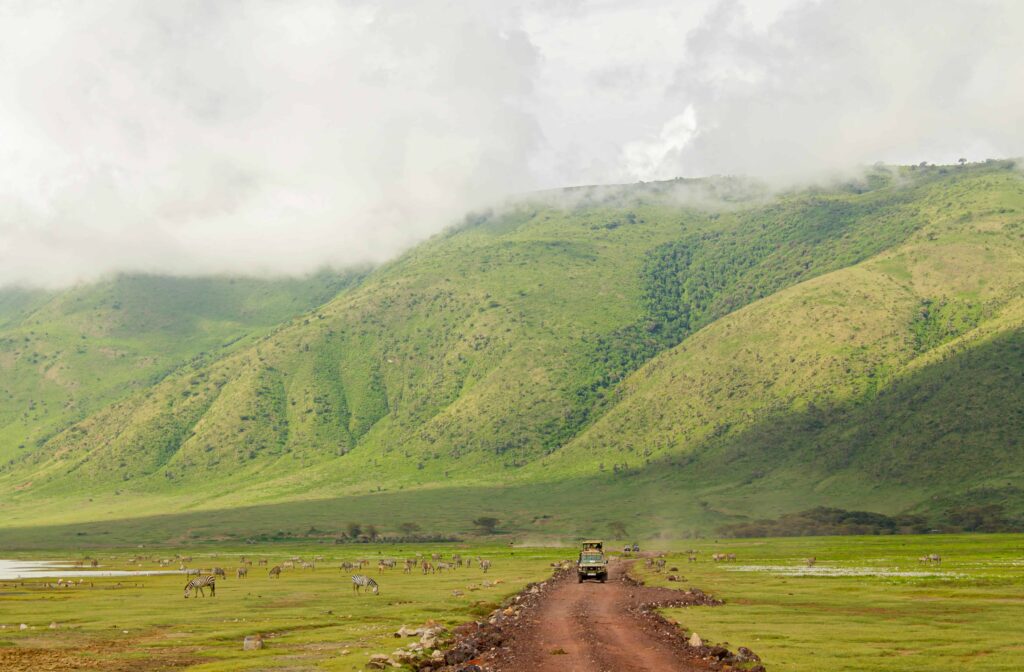 A safari vehicle driving through the vast, lush expanse of the Ngorongoro Crater, with zebras grazing in the distance and mist-covered hills rising in the background.