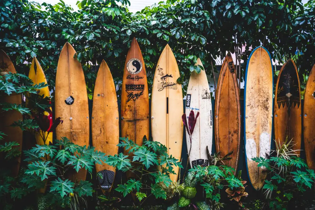 A line of vintage surfboards leaning against a wooden fence, surrounded by lush green tropical plants.