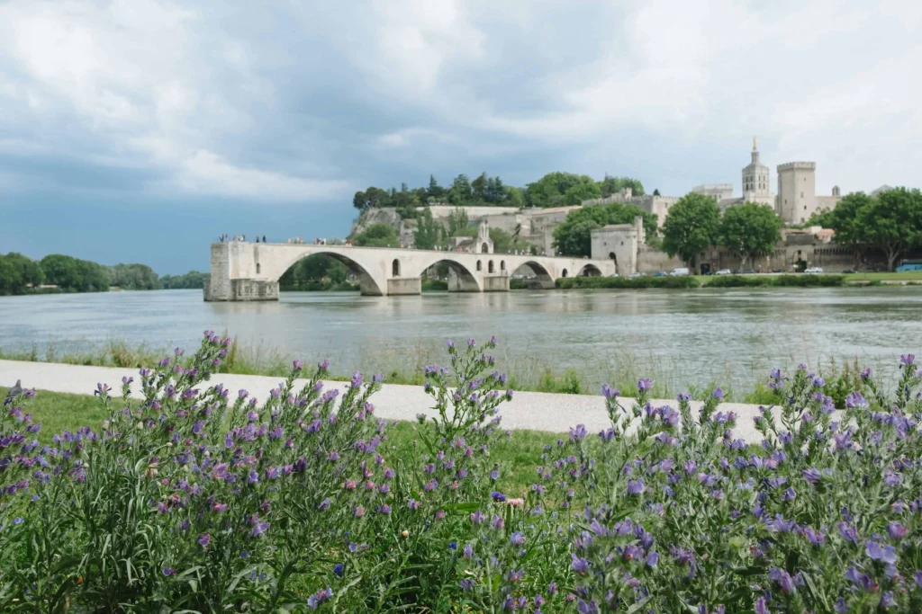 The historic Pont d'Avignon crossing the Rhône River, framed by vibrant wildflowers in the foreground in France