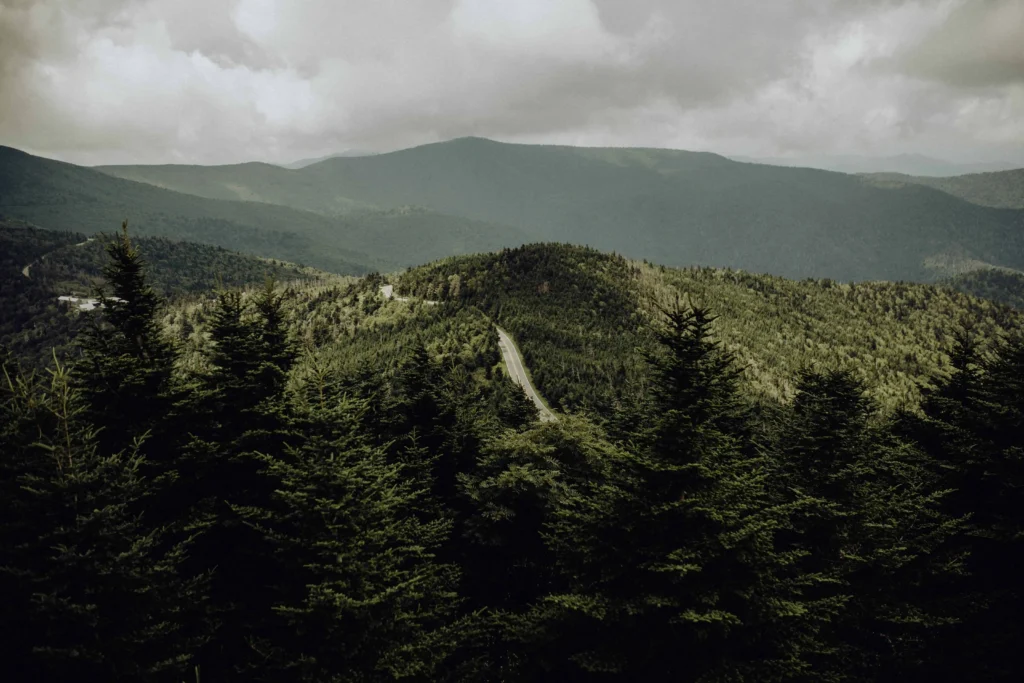 A scenic view of Mount Mitchell State Park, showcasing a winding road surrounded by lush green conifer trees and rolling hills under a cloudy sky.