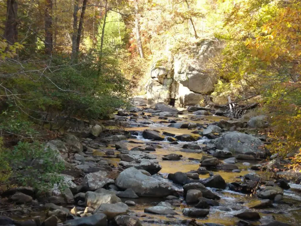 Scenic view of George Washington National Forest with dense woodlands and a beautiful river.