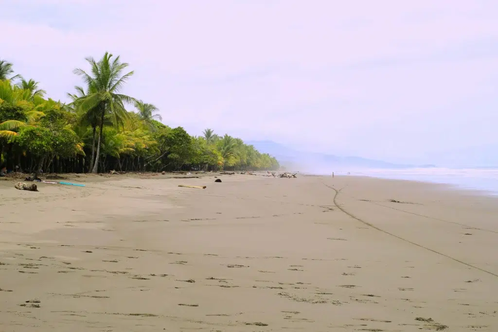 A tranquil beach in Costa Rica with soft sand, lush palm trees, and misty mountains in the background.