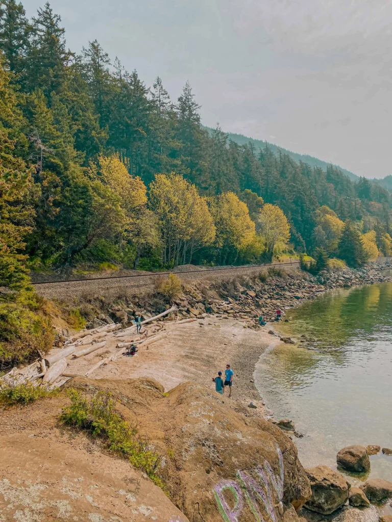 Families enjoying the beach near the forest and rocky shoreline at Larrabee State Park.