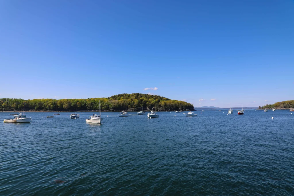 A peaceful waterfront view in Bar Harbor, Maine, featuring small boats anchored in the bay against a backdrop of lush green hills and a bright blue sky