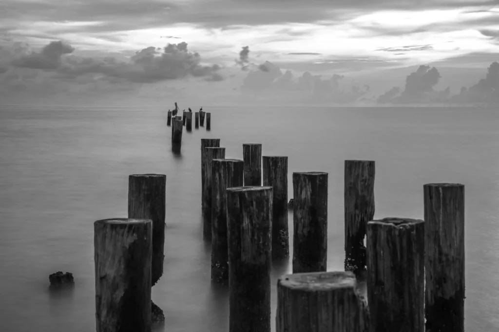 A dramatic black and white image of wooden poles stretching into the calm ocean, creating a tranquil and artistic scene in Naples, Florida.