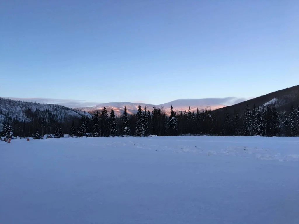 things to do in Fairbanks Alaska: A serene winter landscape in Fairbanks, Alaska, featuring snow-covered fields, evergreen trees, and distant mountains bathed in soft sunlight.