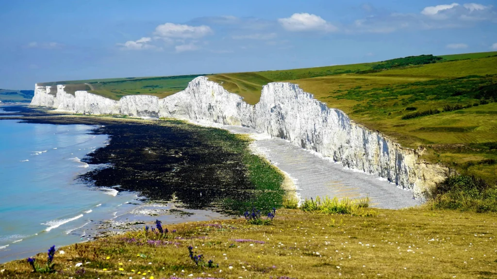 The iconic white chalk Seven Sisters Cliffs along the Sussex coastline, bordered by lush green fields and a calm blue sea