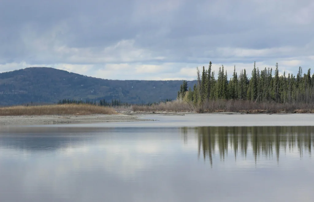 A serene sunset casting soft light over snow-covered mountains and pine trees, a picturesque sight often encountered while exploring things to do in Fairbanks Alaska.