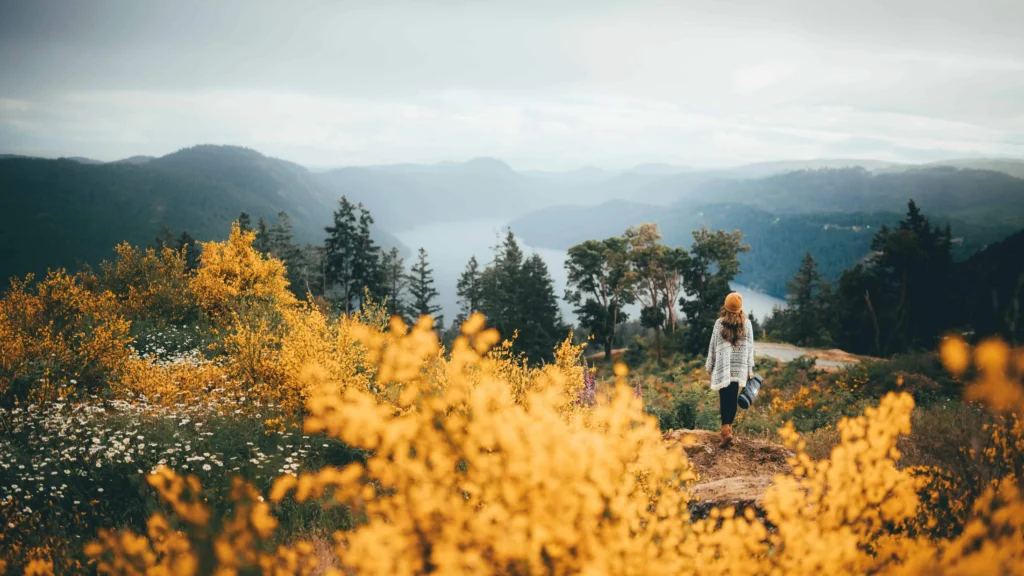 A scenic hiking trail on Vancouver Island near Victoria, BC, surrounded by vibrant yellow wildflowers and overlooking a picturesque valley.