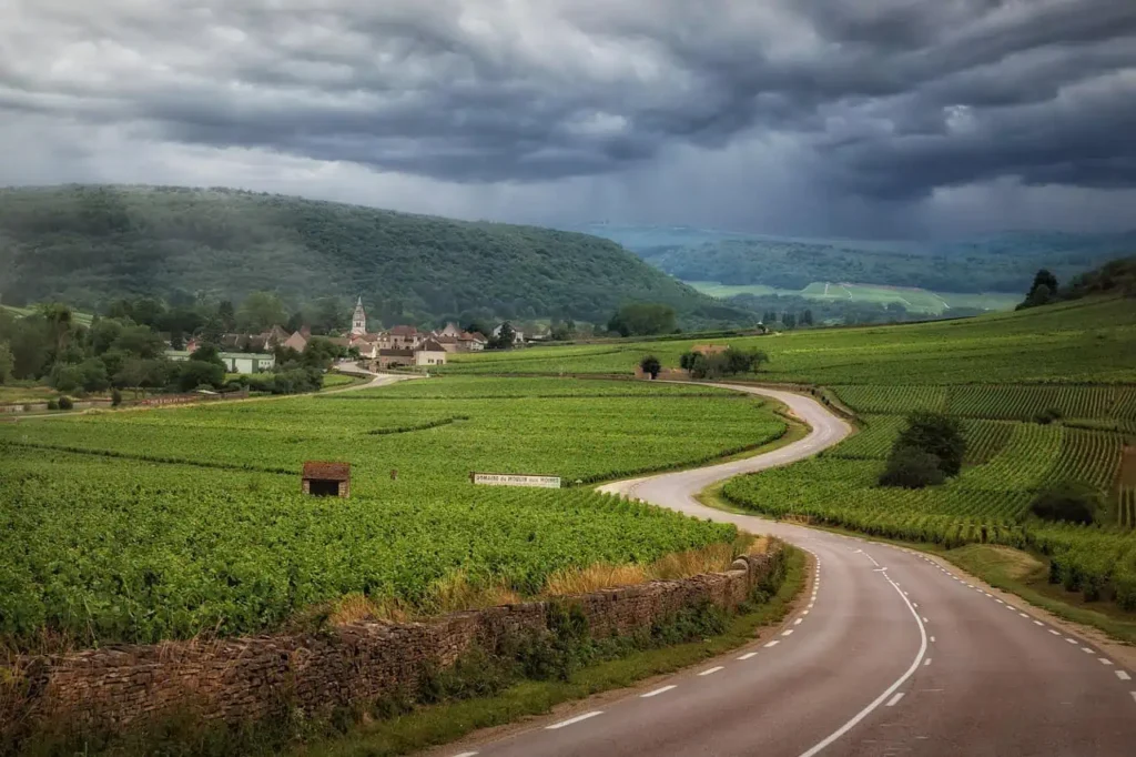 Scenic countryside road winding through lush vineyards, with a quaint village in the distance under a dramatic sky