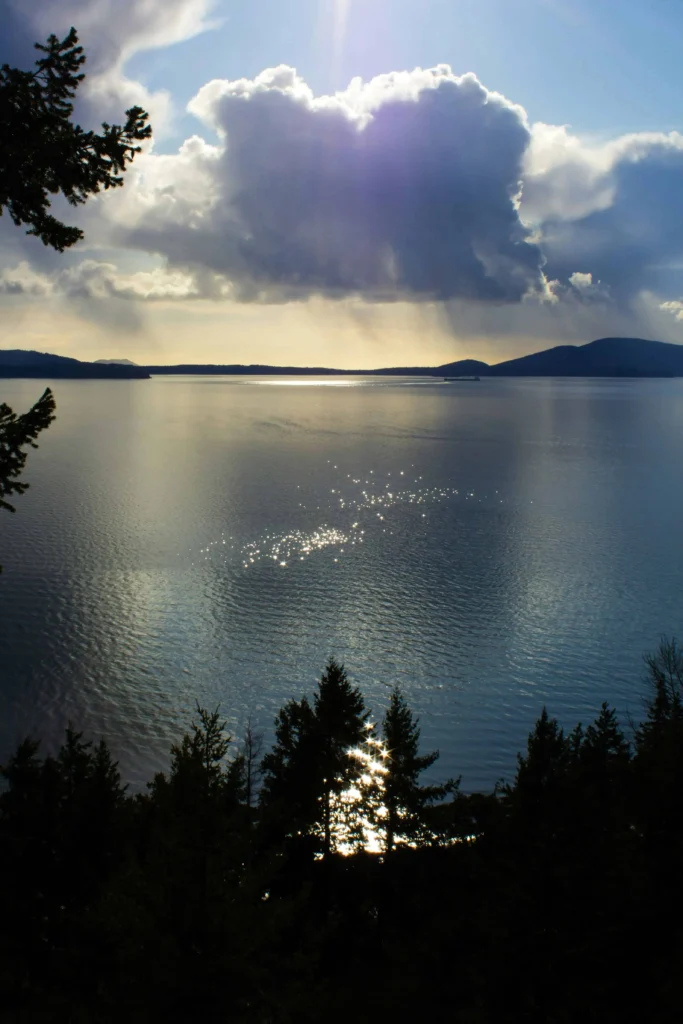 Sparkling sunlight on the waters of Samish Bay, viewed through evergreen trees