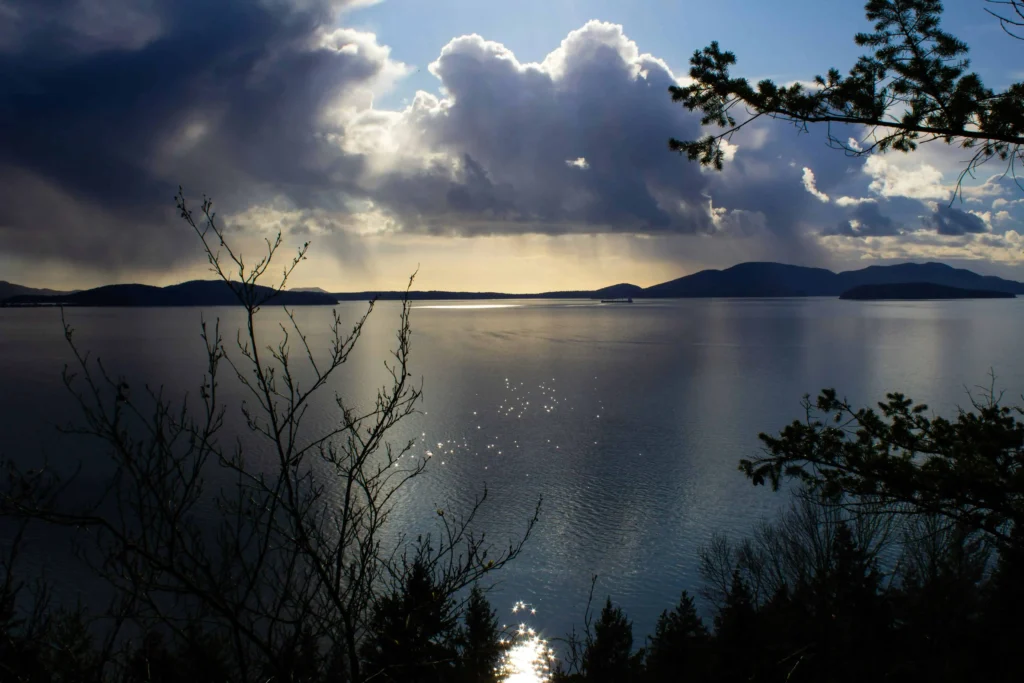 Samish Bay viewed through tree branches during a cloudy evening