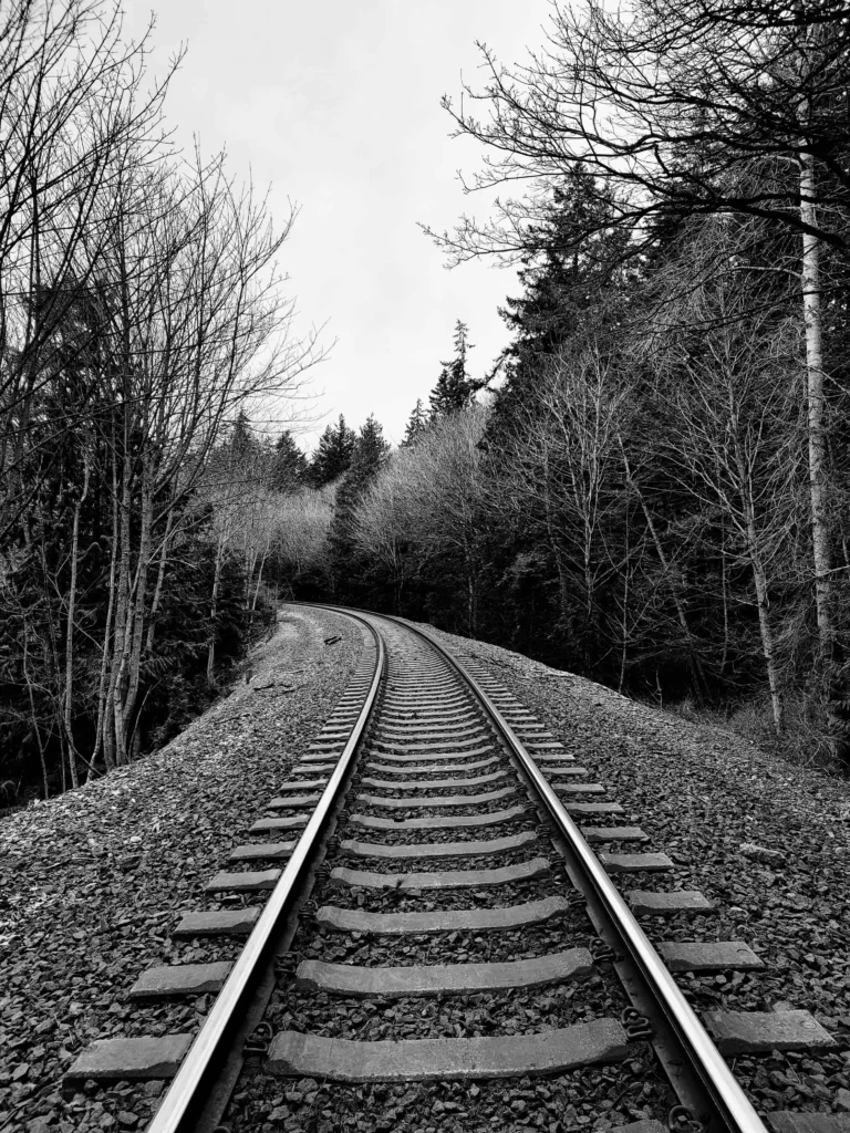 Black and white image of railroad tracks cutting through the forest at Larrabee State Park.