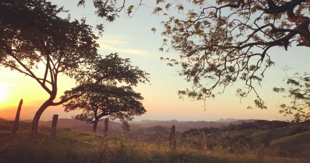 Beautiful sunset over rolling hills in Costa Rica, framed by silhouetted trees and a peaceful countryside