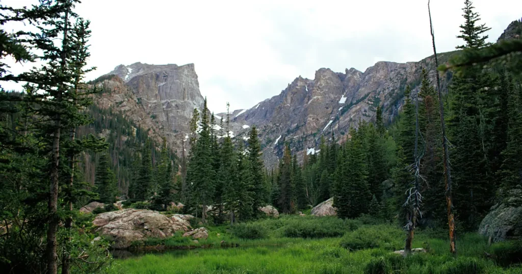 Breathtaking view of a rugged mountain landscape near Cody, WY, surrounded by lush greenery.