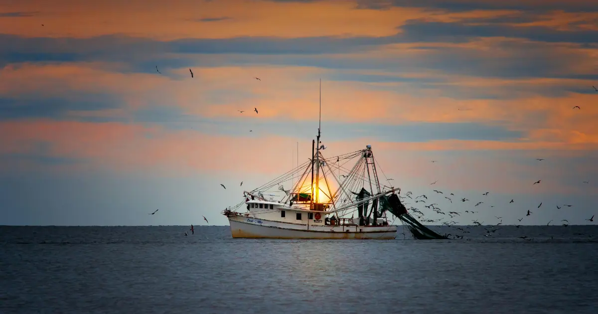 A shrimping boat sailing at sunset with birds flying over the waters of Oak Island, NC.