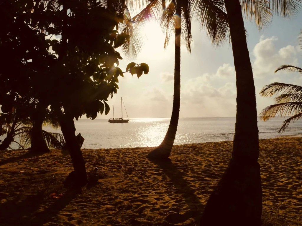 A scenic view of a sailboat at sunset, framed by palm trees on a quiet beach in Costa Rica.