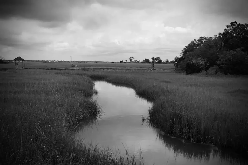 Peaceful marshlands in Charleston with a serene waterway