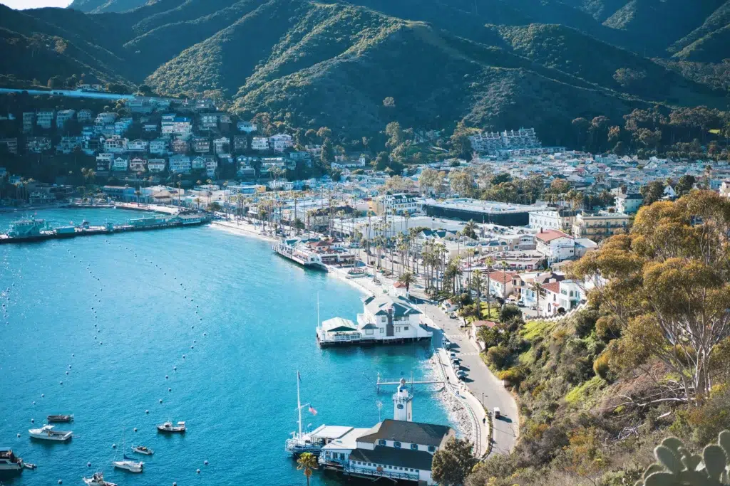 A vibrant marina at Catalina Island with boats docked and colorful buildings in the background.