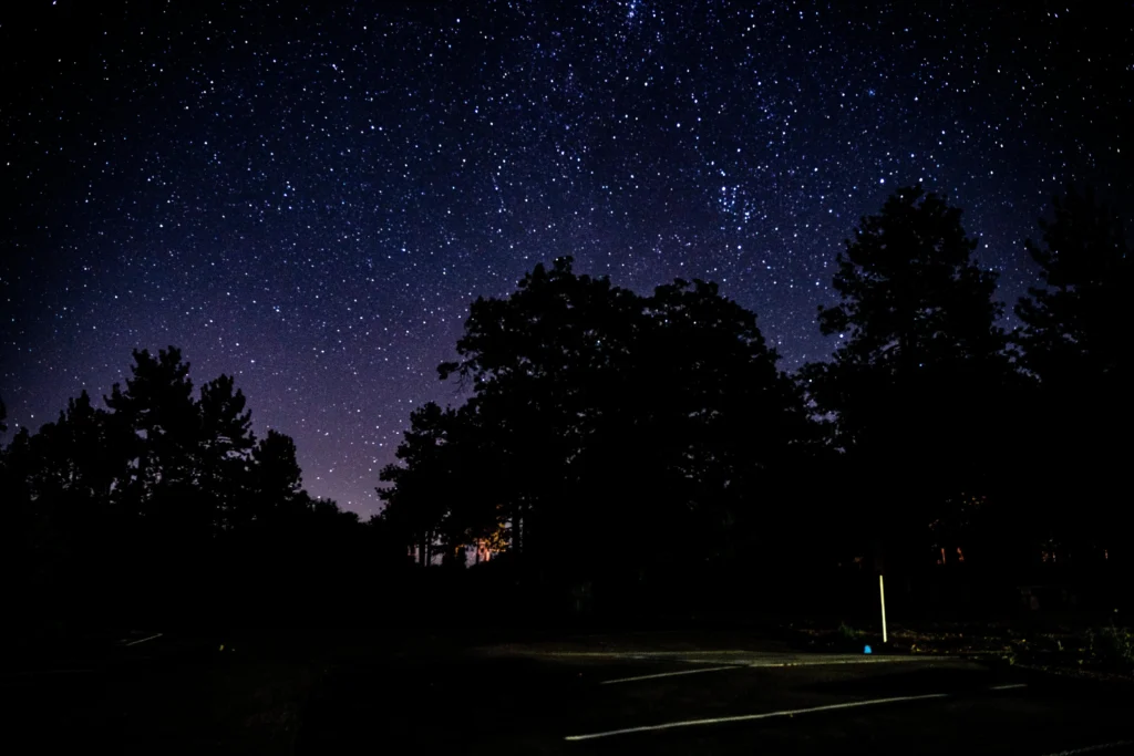 A sky full of stars above the trees in Julian CA, offering one of the best stargazing experiences.