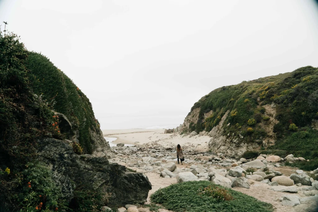 A secluded trail framed by greenery leading to a serene beach in Carmel-by-the-Sea.