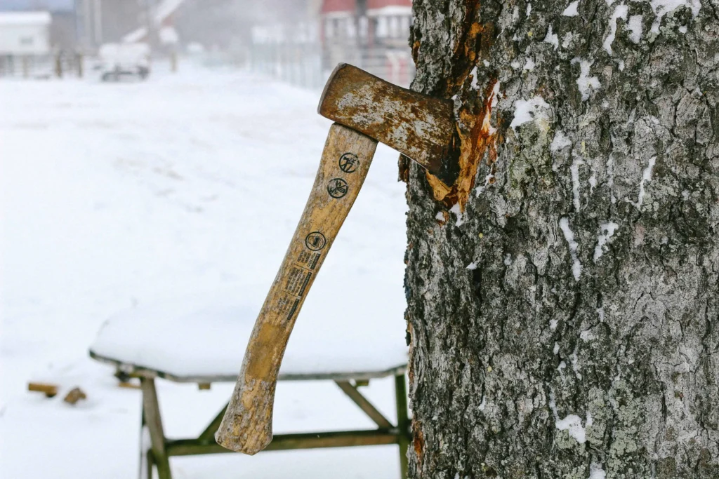 A close-up of an axe embedded in a tree during a woodworking demonstration.