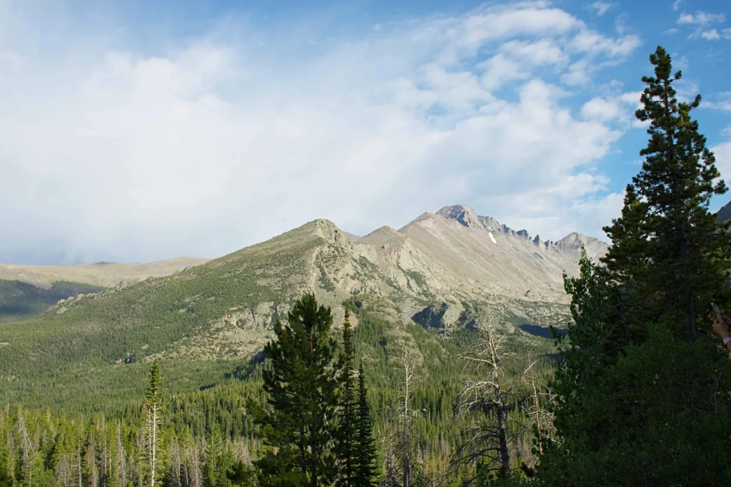 The dramatic mountain range near Cody, Wyoming, framed by tall pine trees and a vibrant blue sky.
