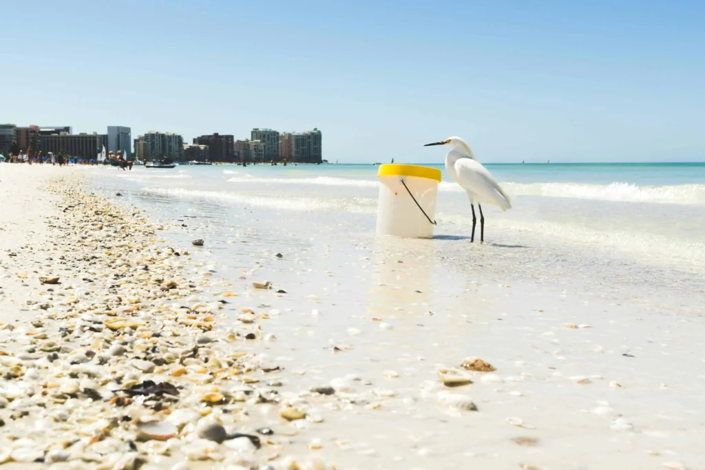 A bird standing next to a bucket on a shell-filled beach in Marco Island, Florida