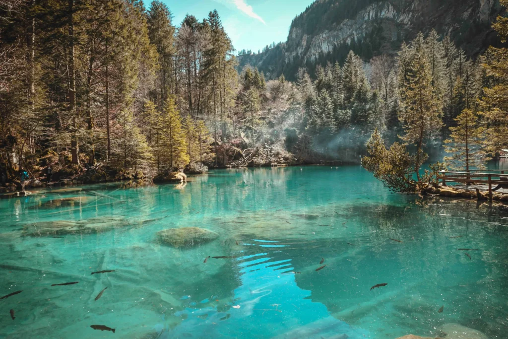 A crystal-clear alpine lake surrounded by lush forests and mountains in Switzerland.