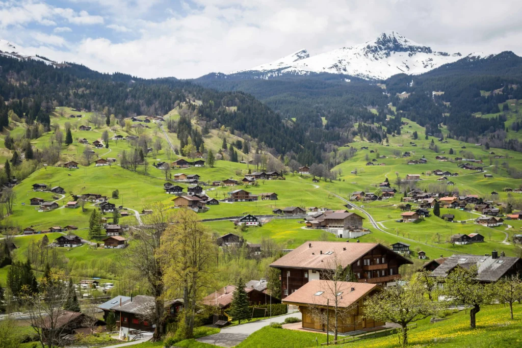 A scenic view of a Swiss village with green pastures and snow-capped mountains in the background.