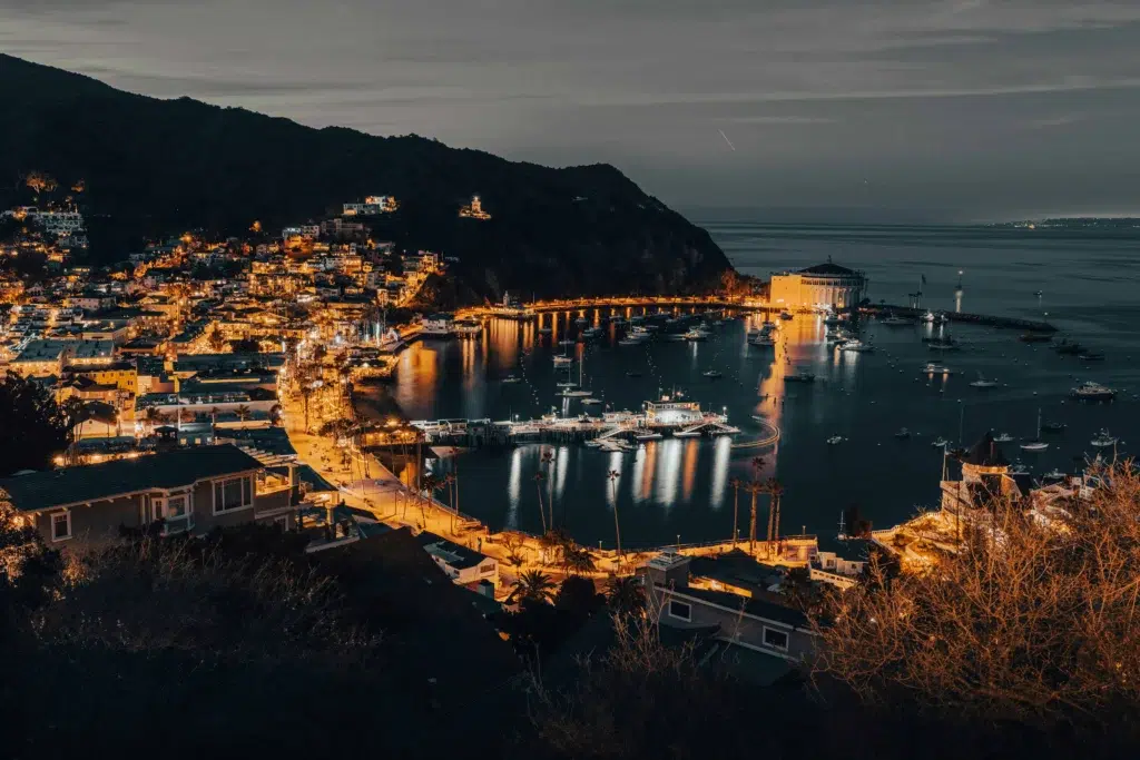 Night view of Avalon Harbor illuminated with lights, showcasing boats and surrounding buildings.