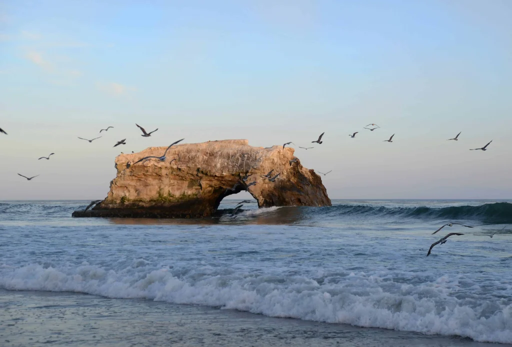 A picturesque view of Natural Bridges State Beach with waves crashing against the rock arch.